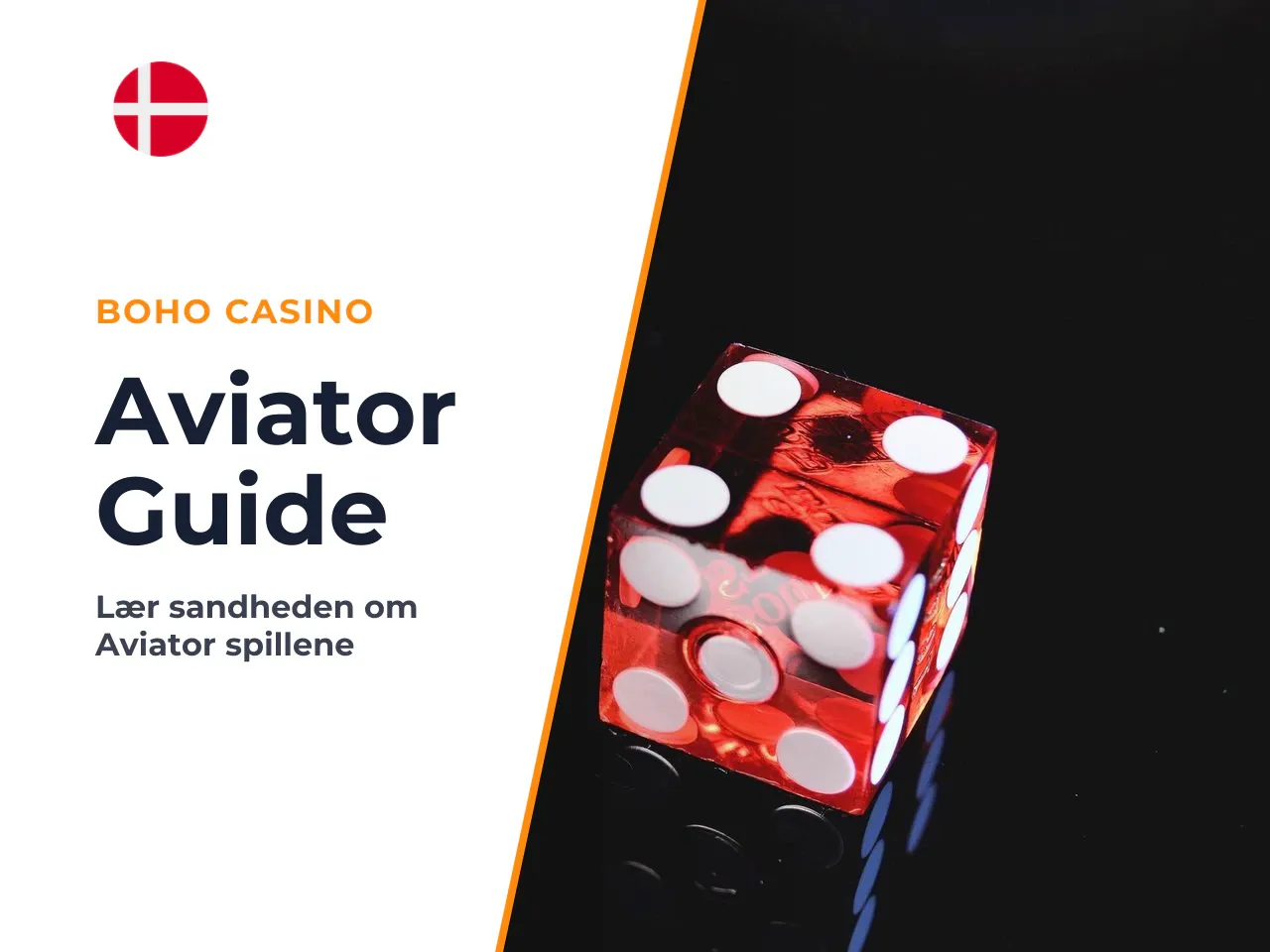 Hvorfor guiden er relevant for dig