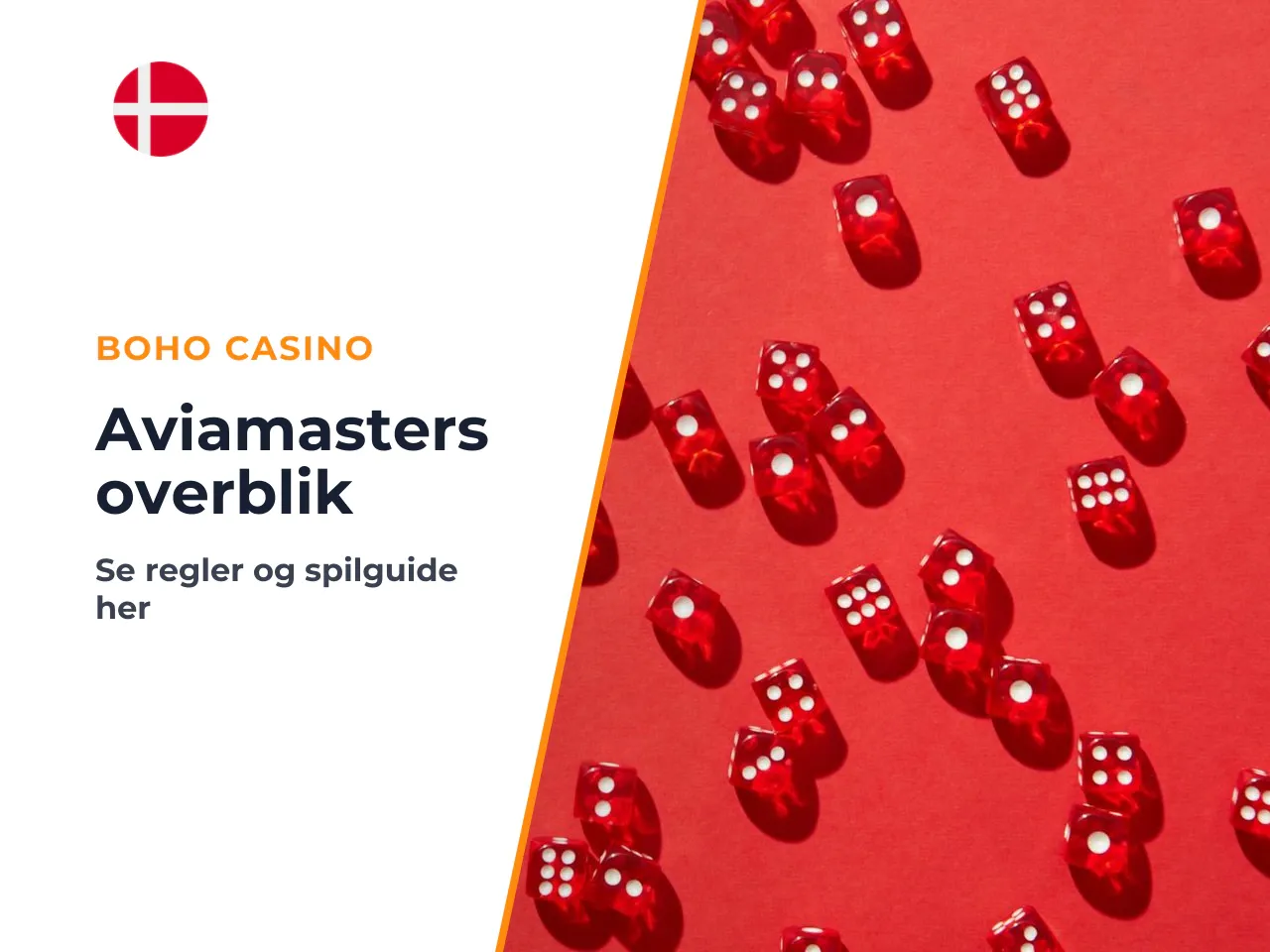 Hurtigt overblik over Aviamasters