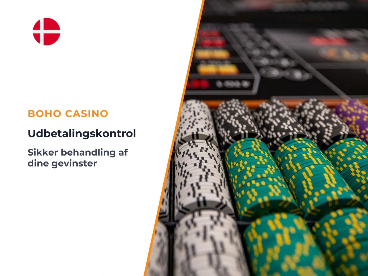 Kontrol af oplysninger før processing af