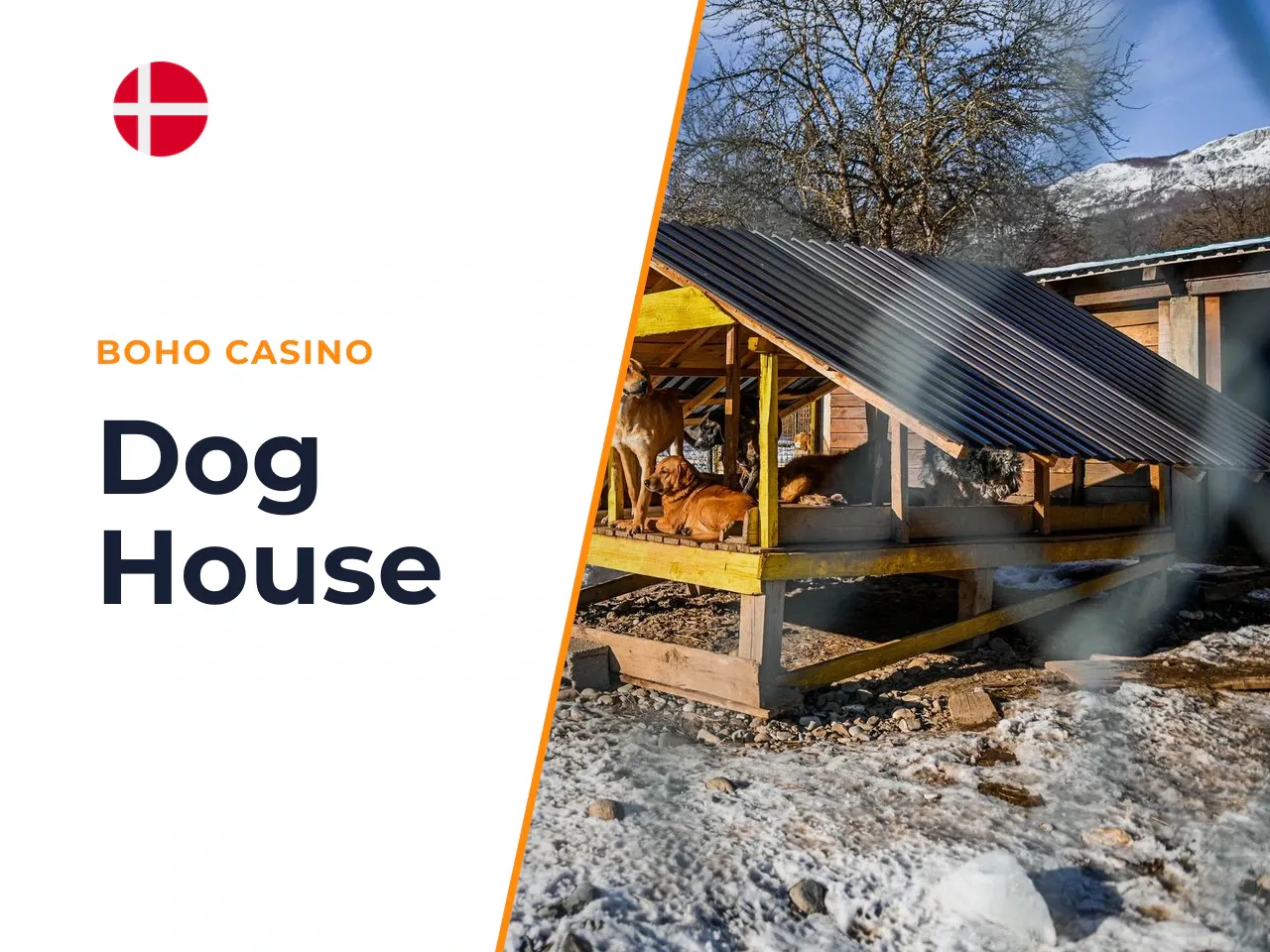 The Dog House slot spil gratis