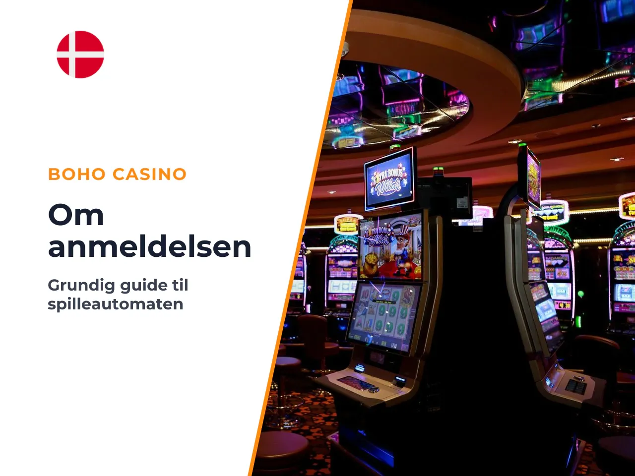 Om denne gennemgang. Artiklen er udarbejdet