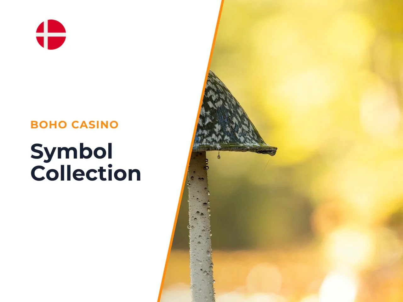 Symbol Collection, fuglekampe og Collection Meter