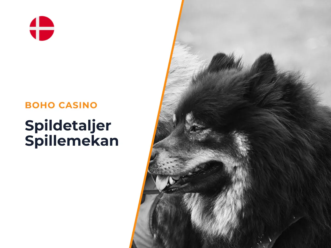 Spildetaljer og spillemekanik i The Dog