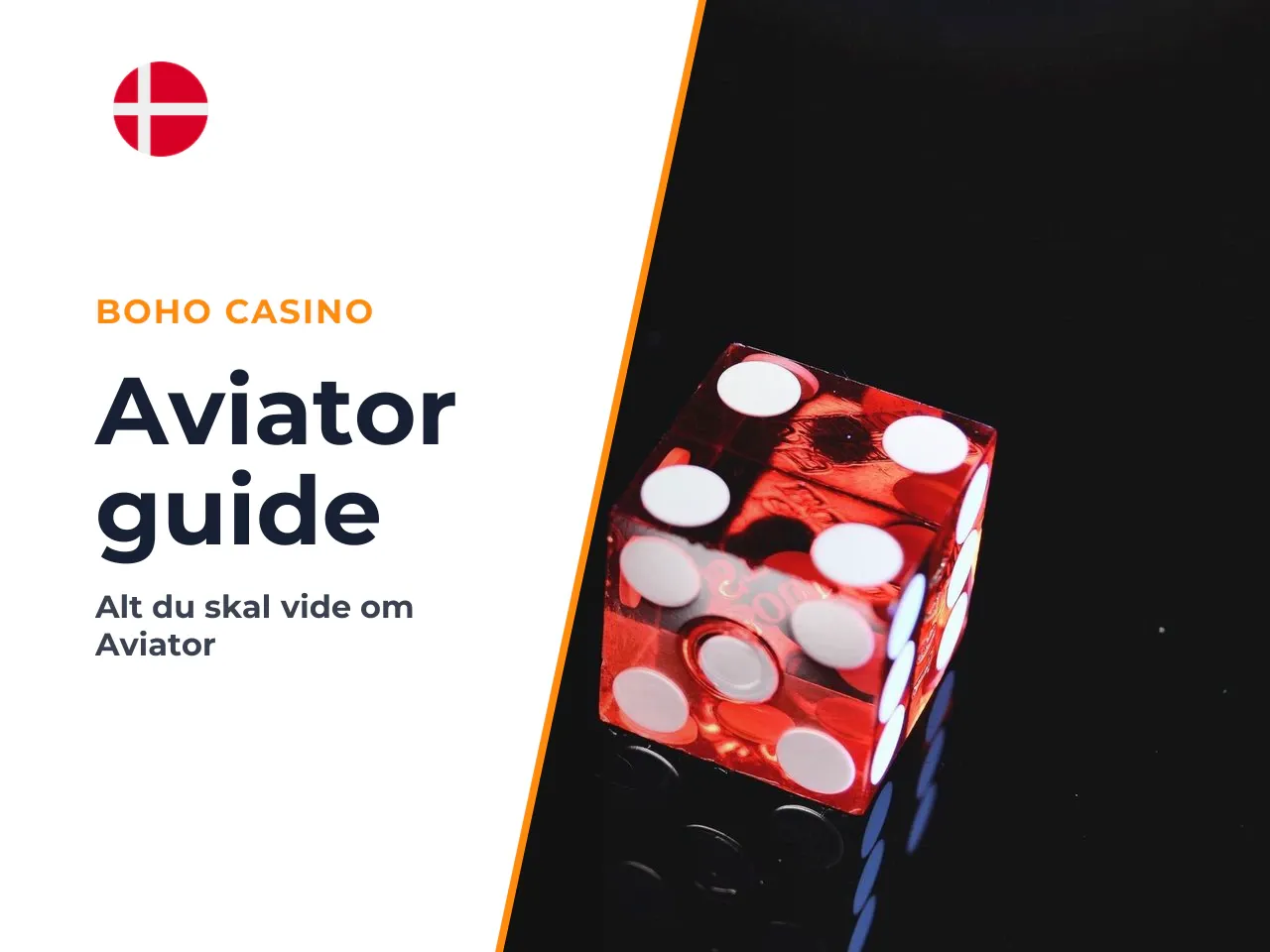 Hvorfor guiden er relevant for dig