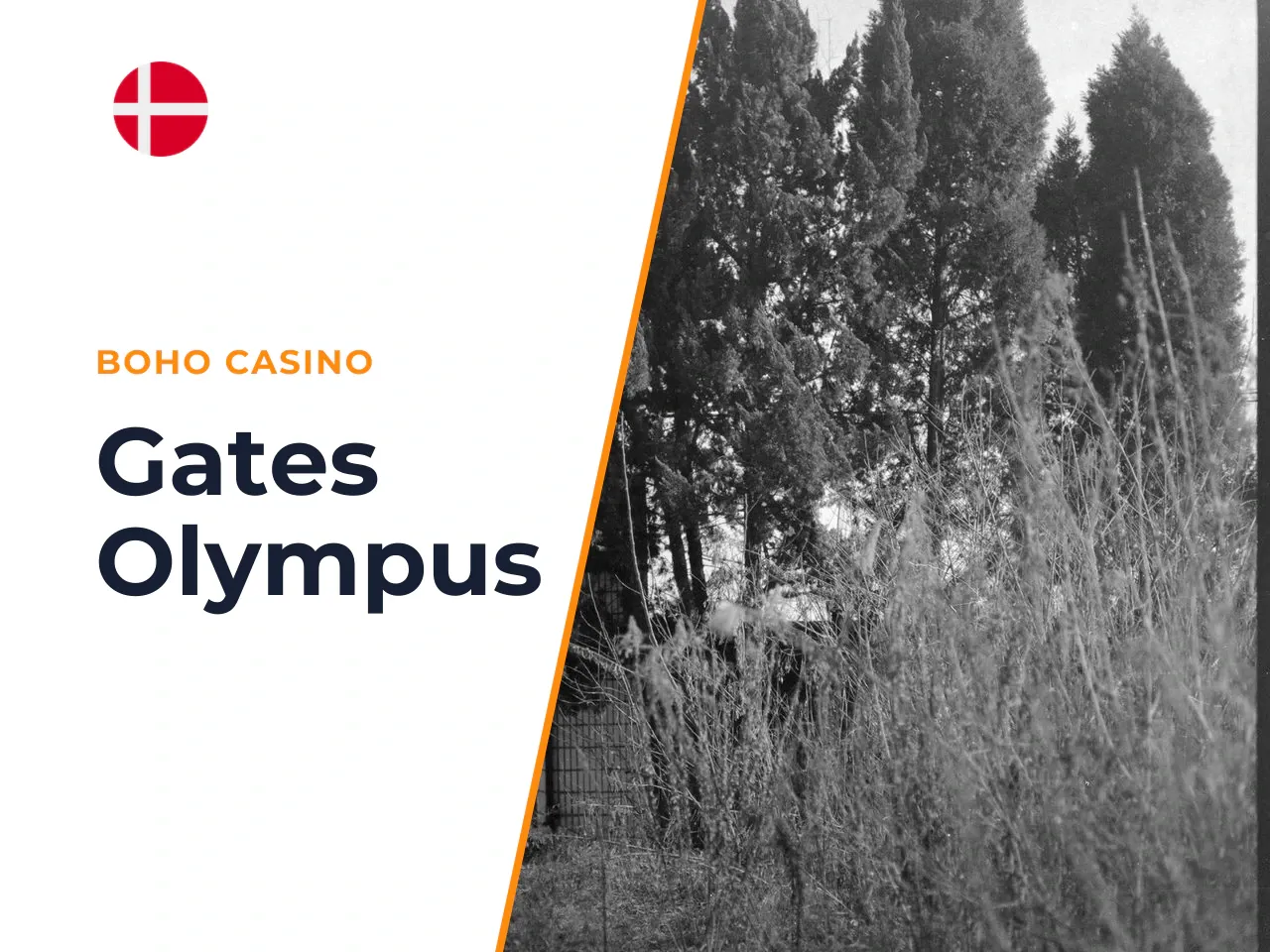 5 H2 Gates of Olympus 1000