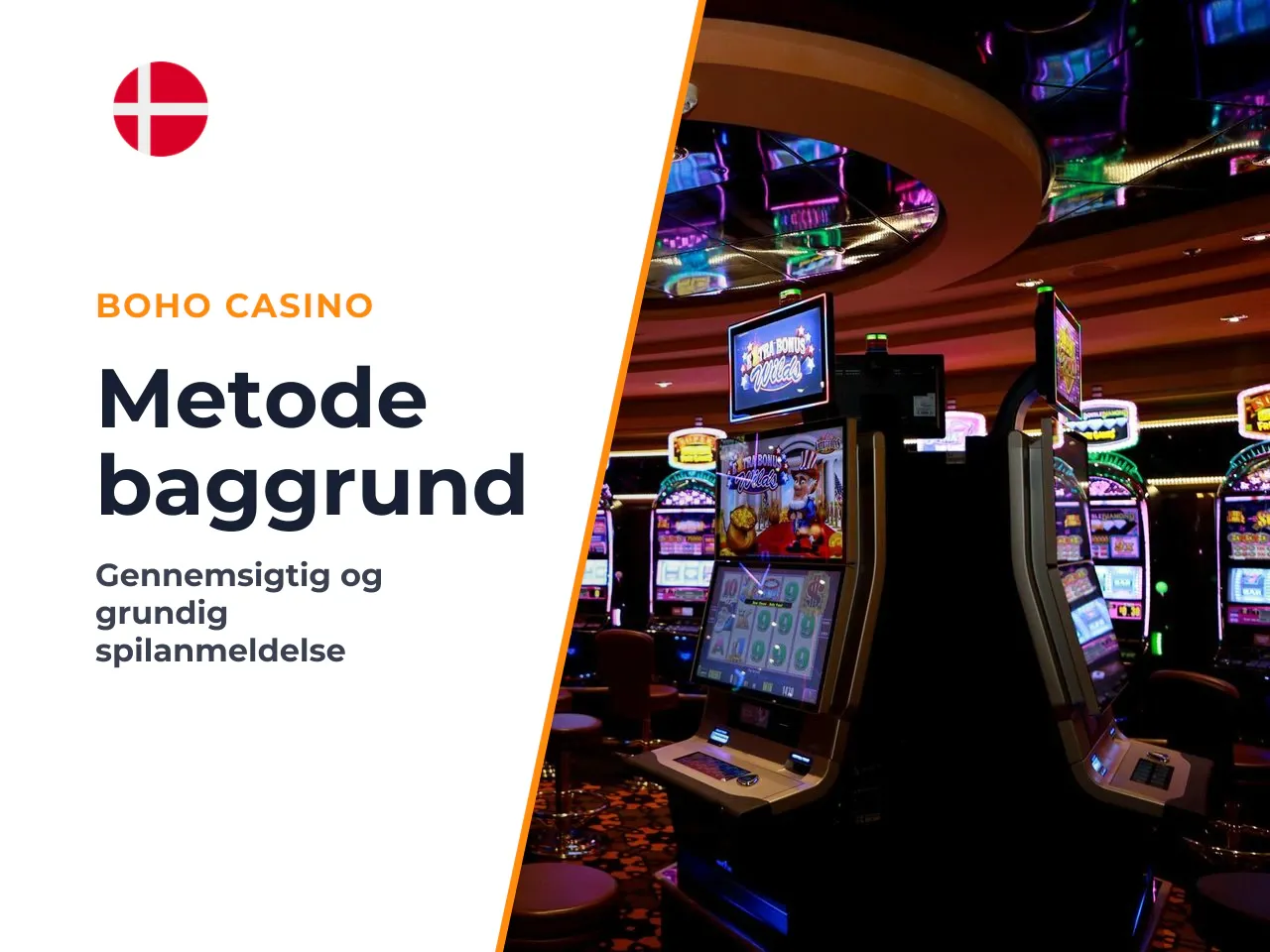 Om forfatteren og metoden Denne gennemgang